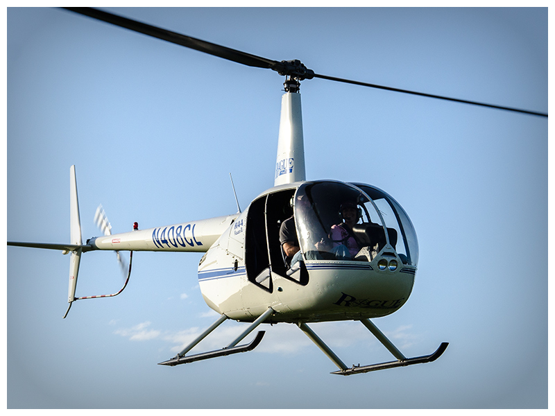 Raven R44